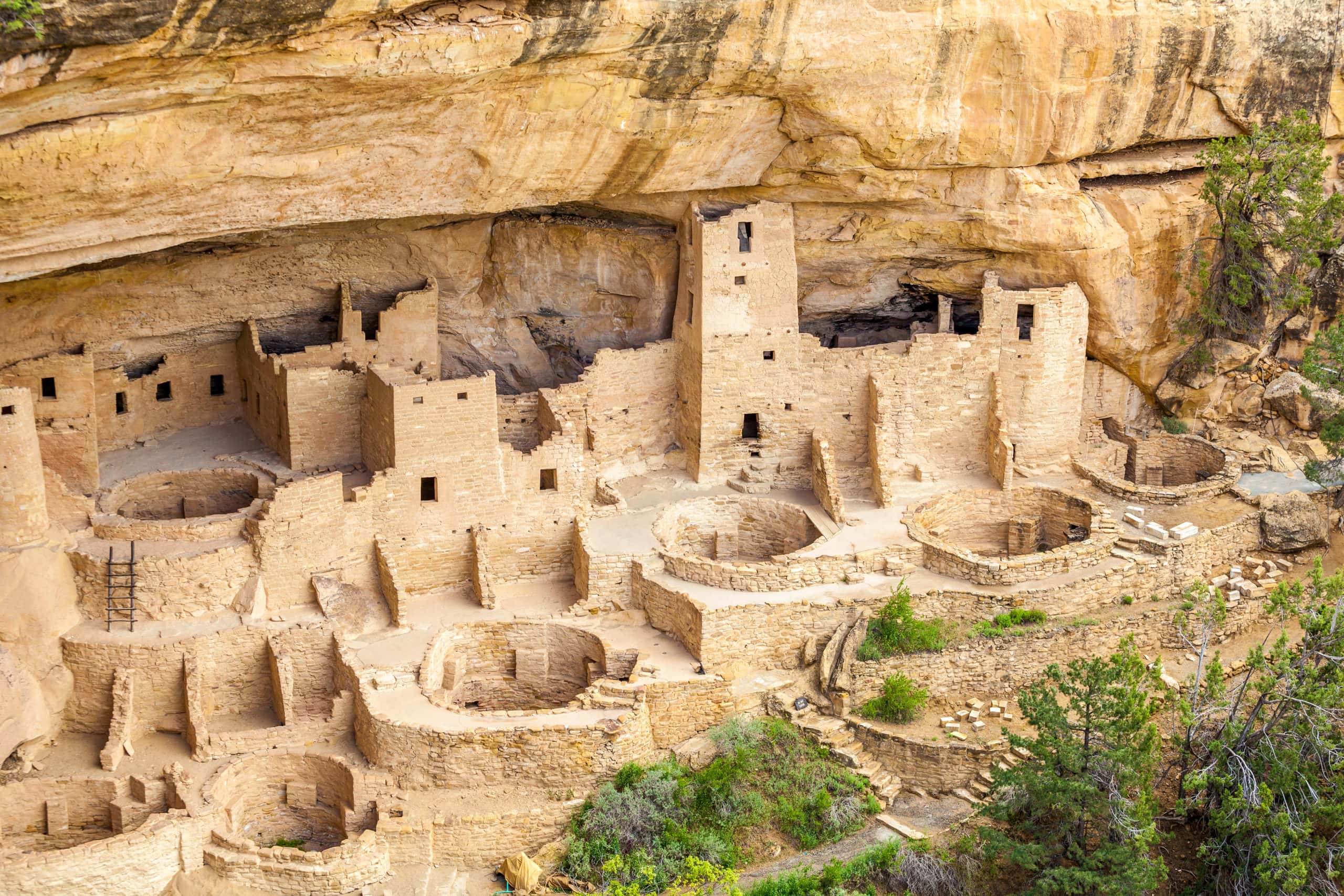 Cliff dwellings in Mesa Verde National Parks Colorado USA scaled from Tumbleweed Travel
