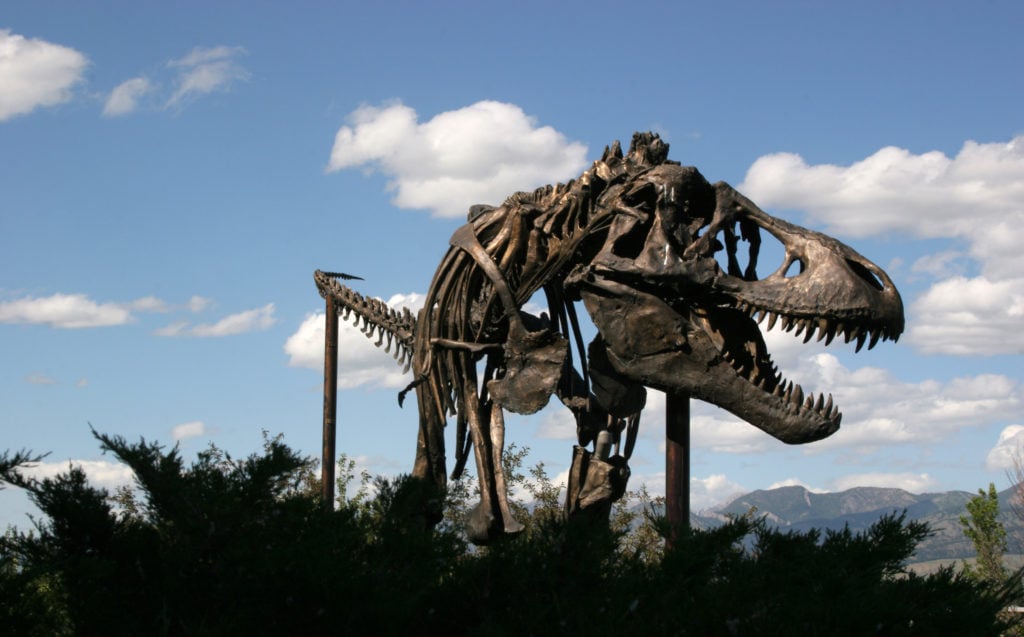Dinosaur Museum of the Rockies Montana USA Dinosaur Museum of the Rockies Montana USA from Tumbleweed Travel