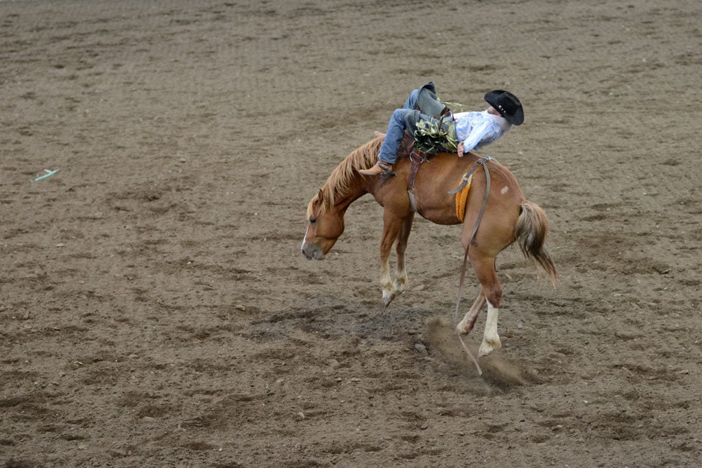 Rodeo Riders in Wyoming Rodeo Riders in Wyoming from Tumbleweed Travel