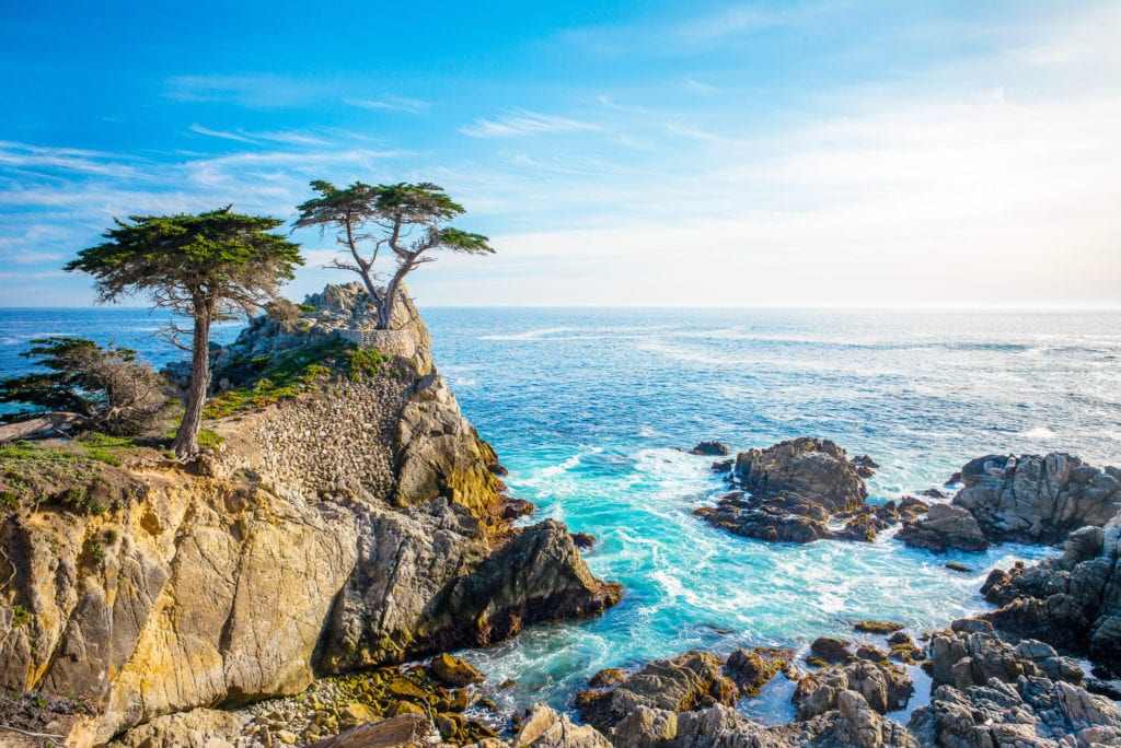 The Lone Cypress, seen from the 17 Mile Drive, in Pebble Beach, California. The Lone Cypress seen from the 17 Mile Drive in Pebble Beach California. from Tumbleweed Travel