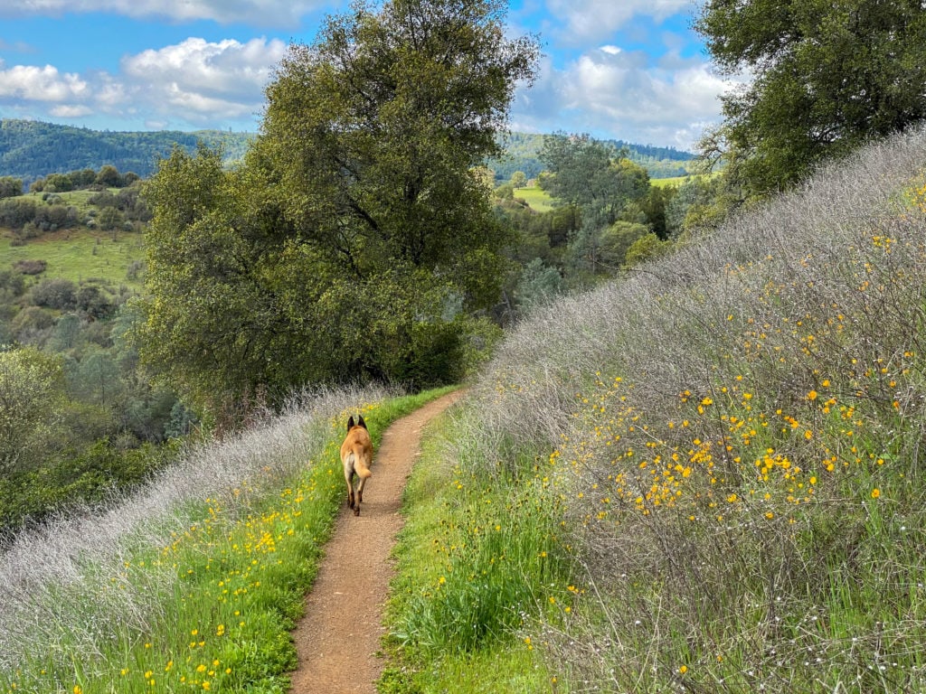 Trail outside coloma california Trail outside coloma california from Tumbleweed Travel
