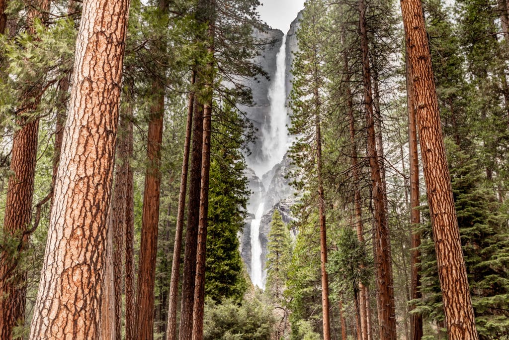 Upper and Lower Yosemite Falls at Yosemite National Park Upper and Lower Yosemite Falls at Yosemite National Park from Tumbleweed Travel