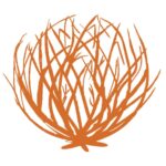 icon from Tumbleweed Travel