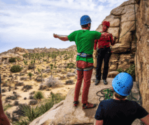 Activity Spotlight: Rock Climbing in Joshua Tree 2 1 from Tumbleweed Travel