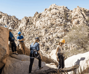 Activity Spotlight: Rock Climbing in Joshua Tree 3 1 from Tumbleweed Travel