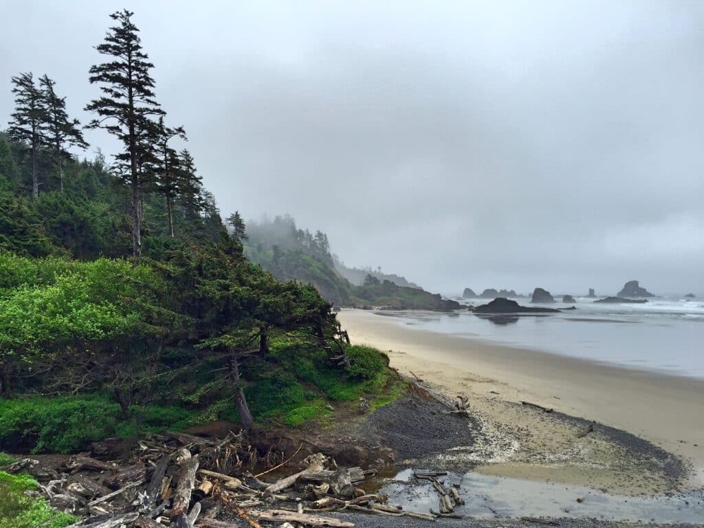 Canyon Creek Delta empties into the Pacific in Northwest Oregon Canyon Creek Delta empties into the Pacific in Northwest Oregon from Tumbleweed Travel
