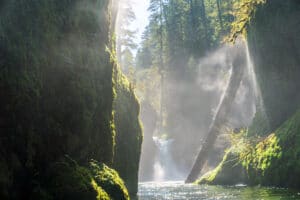 NEW ITINERARY: Ultimate Oregon Columbia River Gorge Hood River Oregon. Sun shines on Small waterfall and forest stream from Tumbleweed Travel