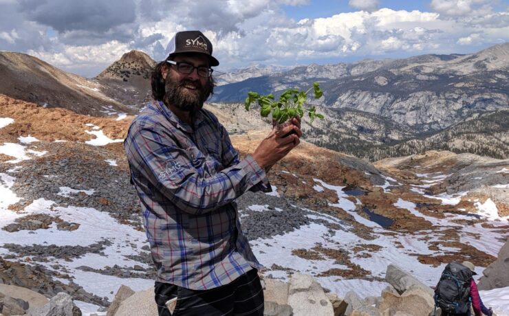 Expert Advice: Yosemite Off the Beaten Path Fred Ackerman guide, standing on a pass in the Sierras holding a bunch of basil