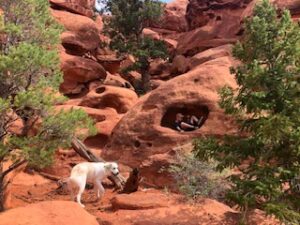 Expert Advice: Capitol Reef National Park and Torrey More exploring Lions Head rock formations outside of Teasdale from Tumbleweed Travel