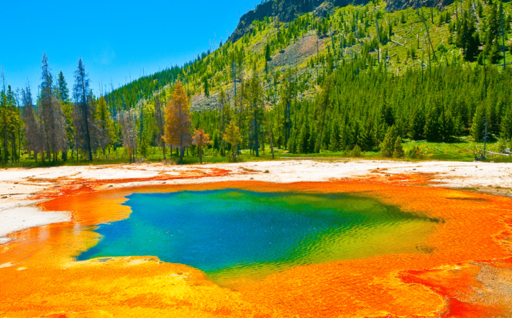 Why Yellowstone National Park is a Must-Visit Destination Geothermal Activity in Yellowstone National Park from Tumbleweed Travel