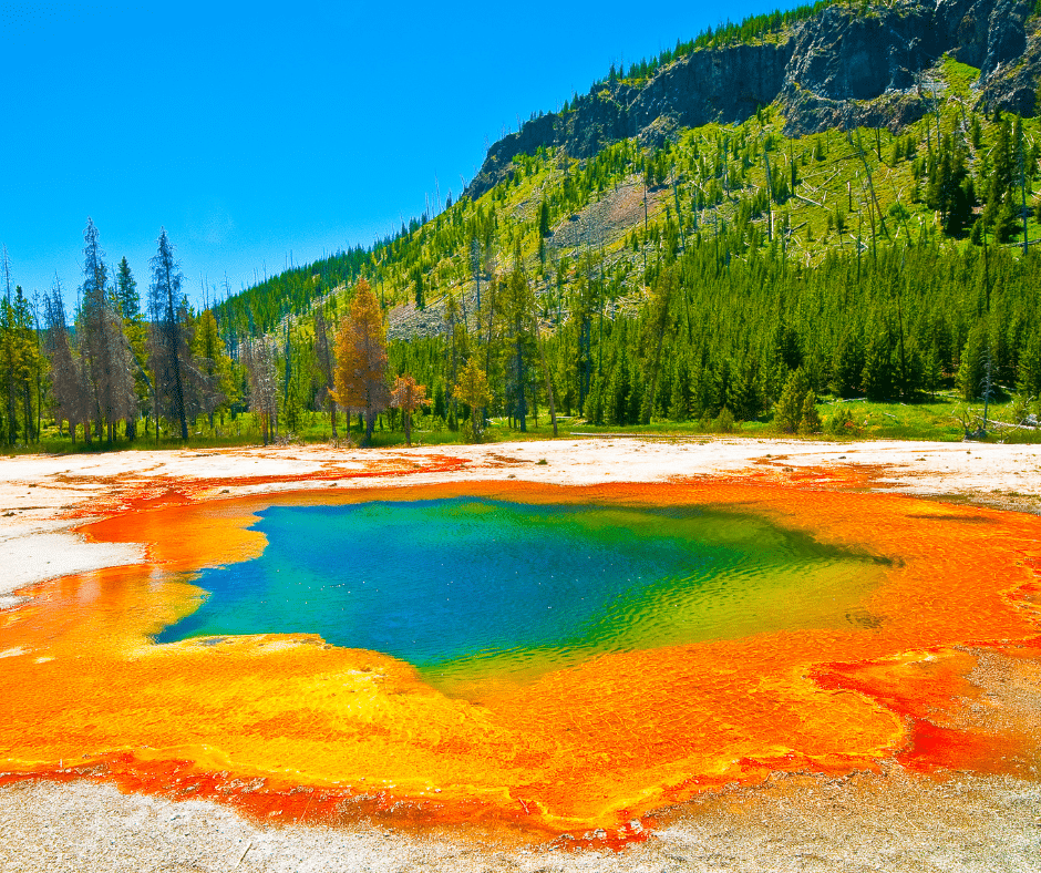 Why Yellowstone National Park Is A MustVisit Destination Tumbleweed