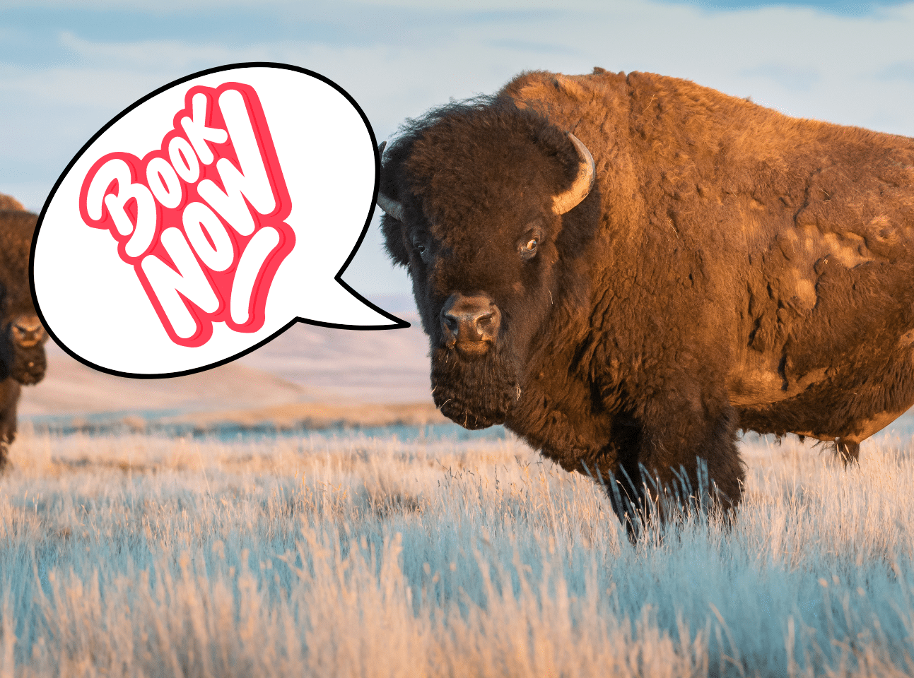 4 Reasons to Book NOW from Tumbleweed Travel