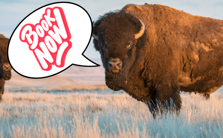 Book Now (4 Reasons you Should!) 4 Reasons to Book NOW from Tumbleweed Travel