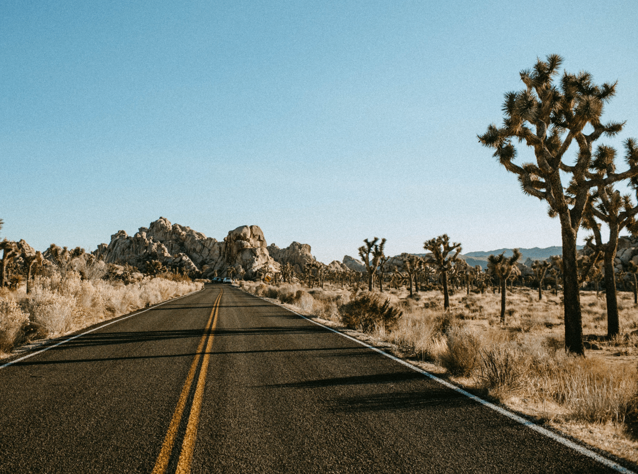 Top National Parks for RV Road Trips from Tumbleweed Travel