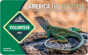 Volunteer Pass Front from Tumbleweed Travel