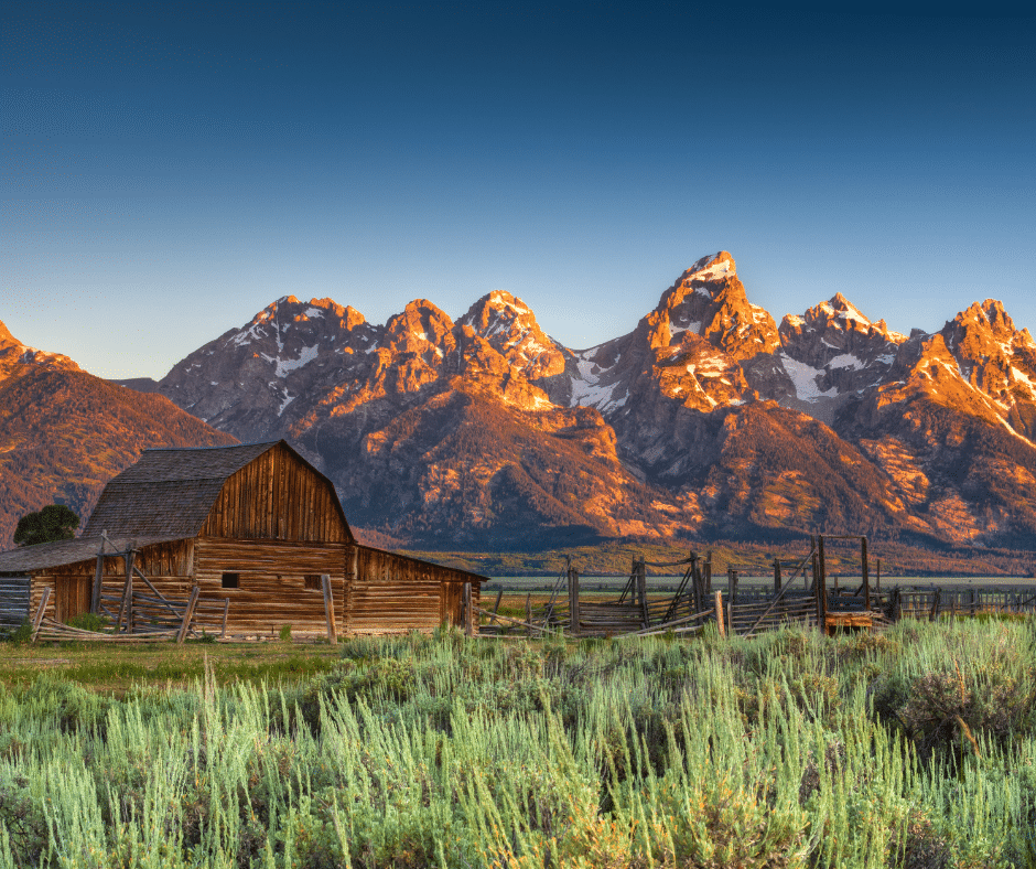 Mormon Row Grand Teton National Park WY from Tumbleweed Travel